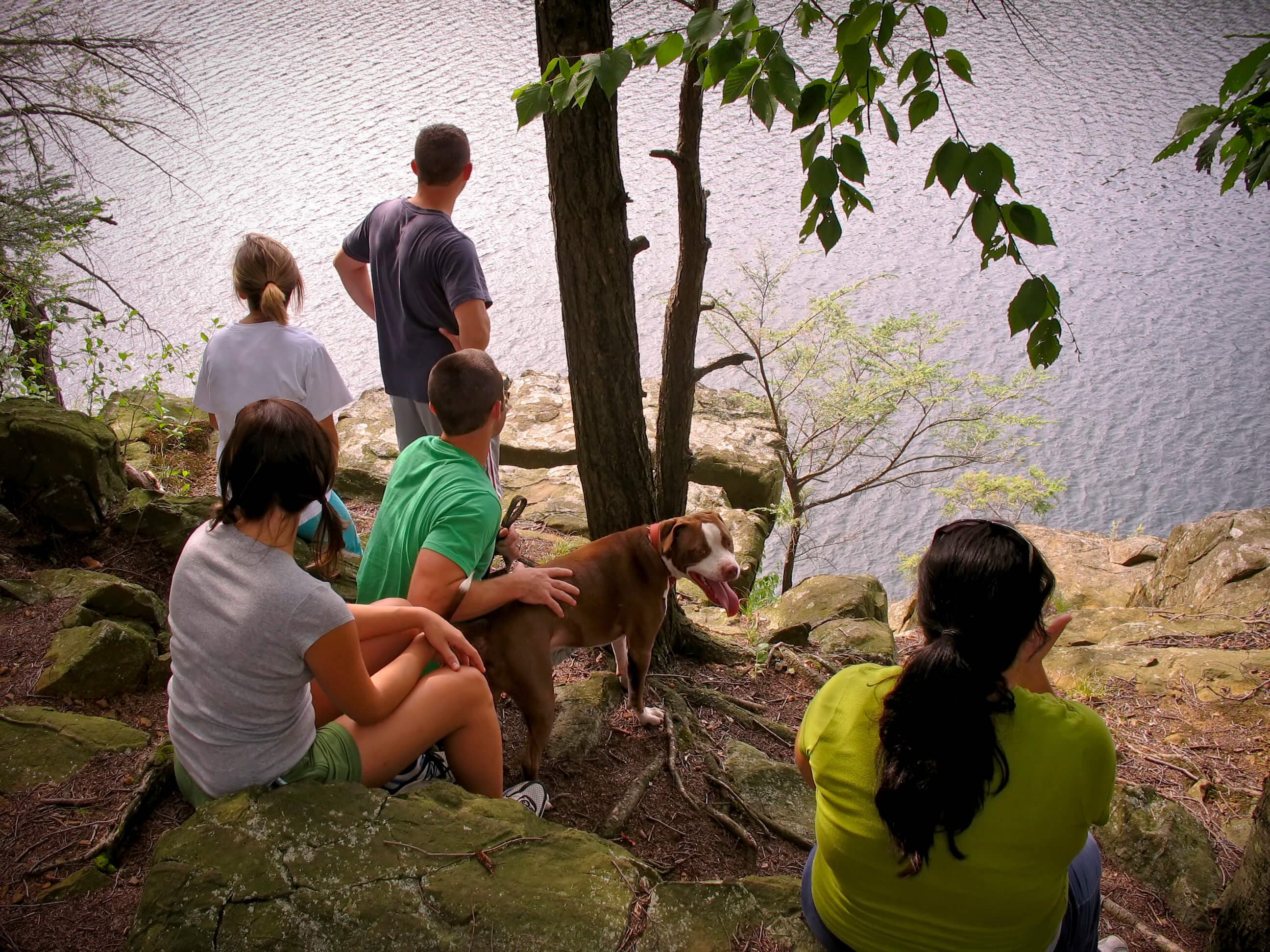 Blog image 1