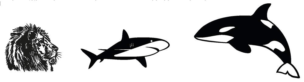 Blog image 1